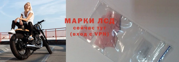 твердый Абаза