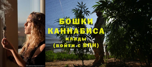 крисы Вязьма
