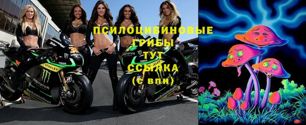 соль ск Абдулино