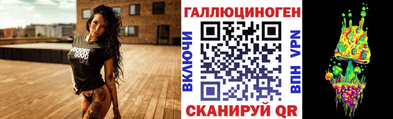 Псилоцибиновые грибы мицелий  Сокол 